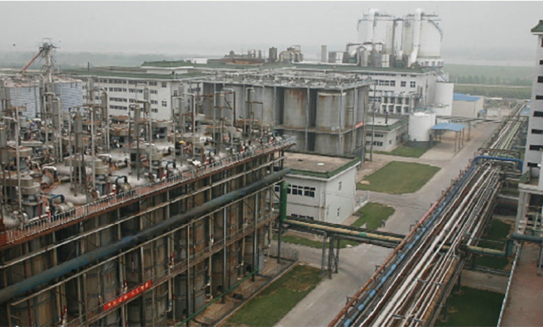 160,000 ton Citric Acid Project