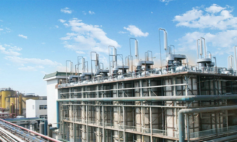 30,000 ton Latic Acid Project