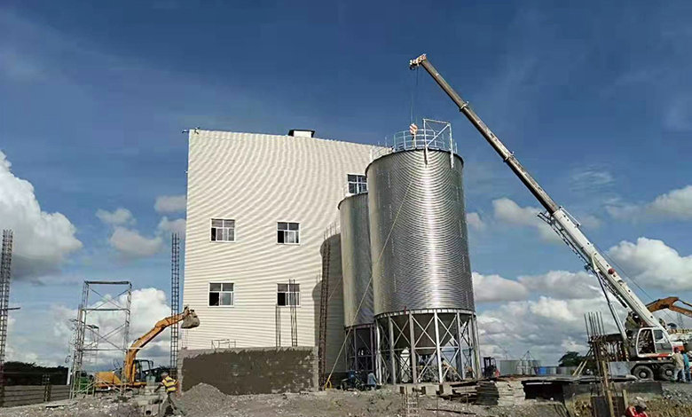 Steel Silos, Venezuela