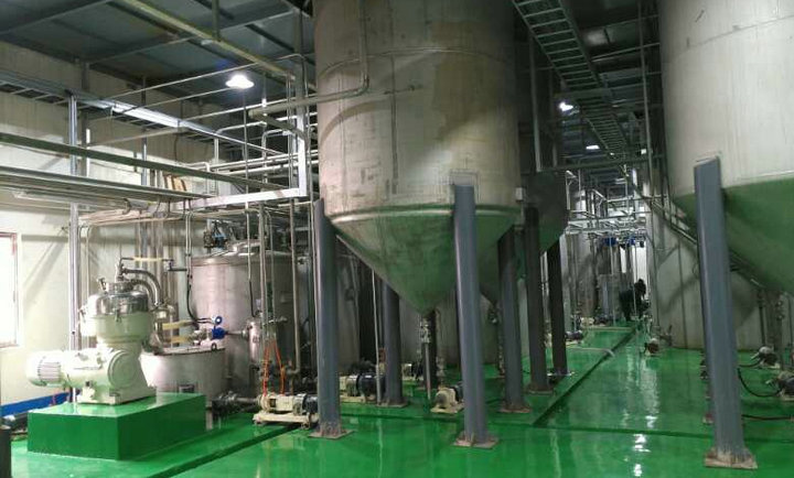 Modified Starch Project, China